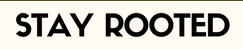 Stay Rooted