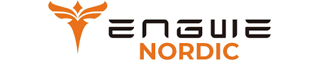 engwe nordic
