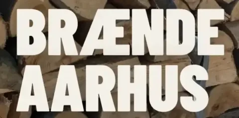 logotype-braendaarhus24
